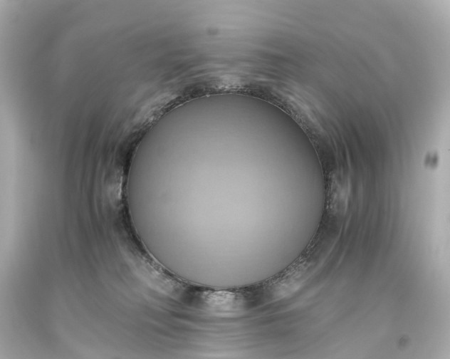 X0000093610230200710291212