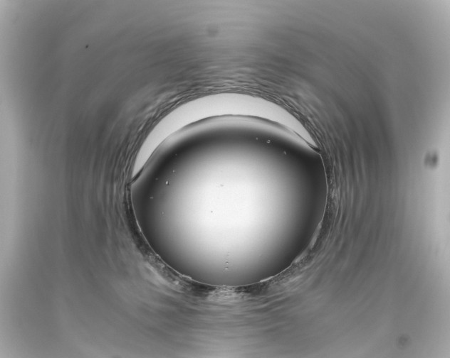 X0000093610231200710291212
