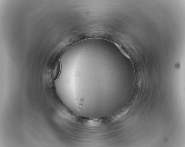 X0000093610232200710291212