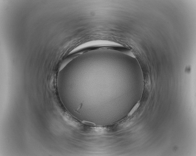 X0000093610233200710291212