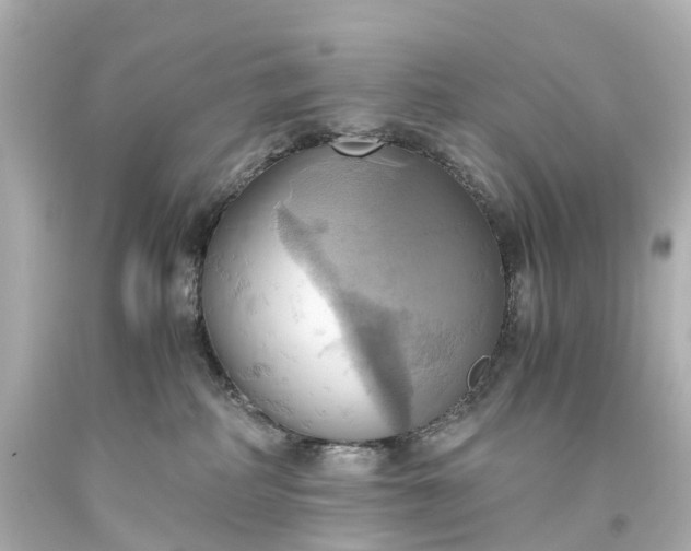 X0000093610234200710291212
