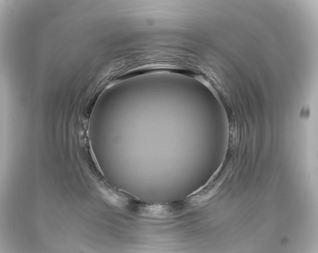 X0000093610237200710291212