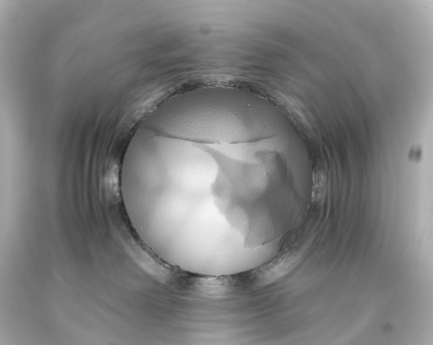 X0000093610238200710291212