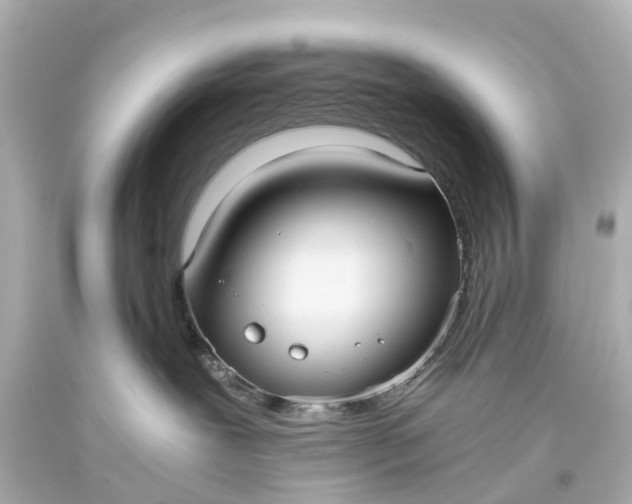 X0000093610239200710291212