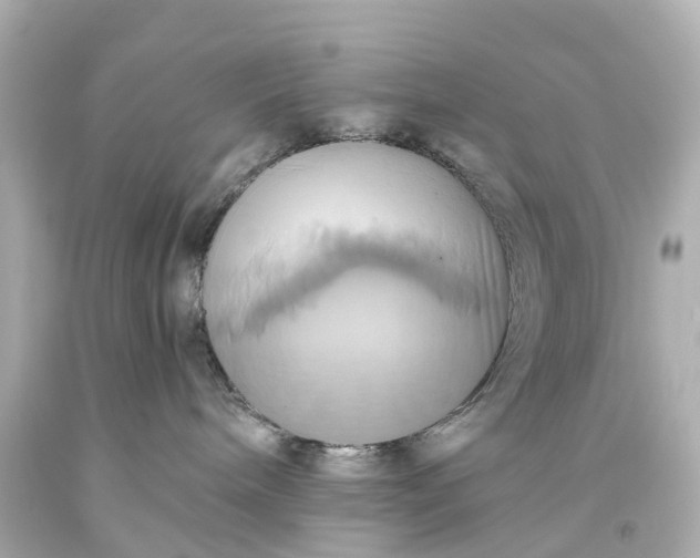 X0000093610240200710291212