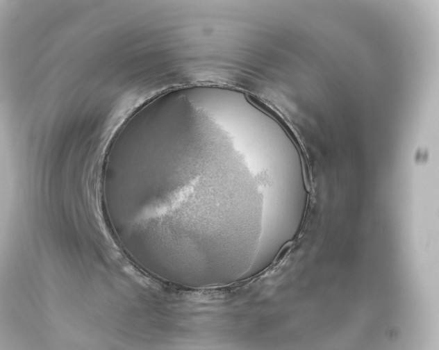 X0000093610241200710291211