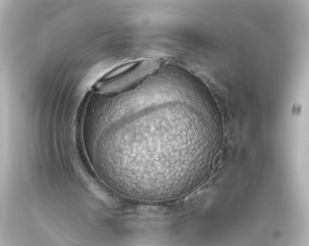 X0000093610242200710291211
