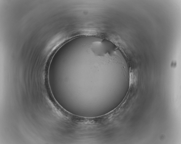 X0000093610243200710291211