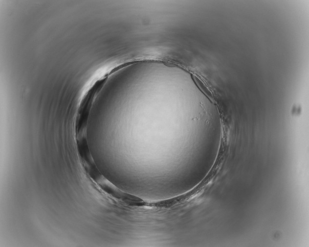 X0000093610244200710291211