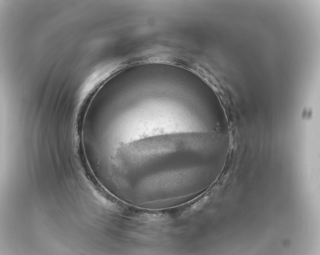 X0000093610245200710291211