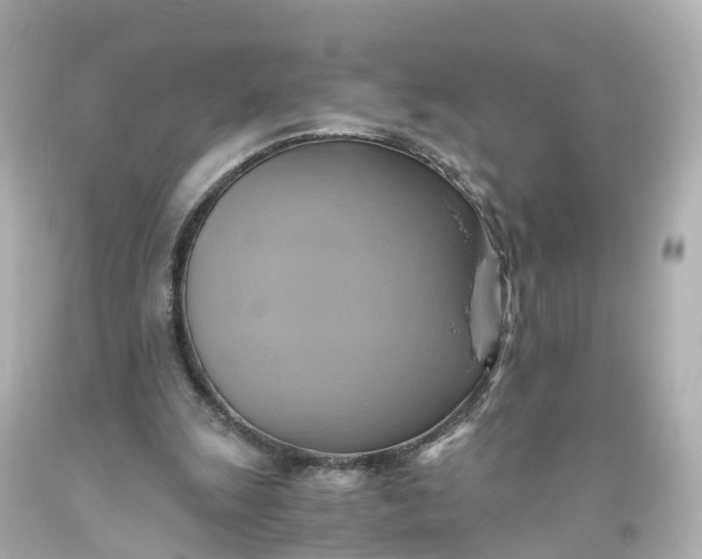 X0000093610247200710291211