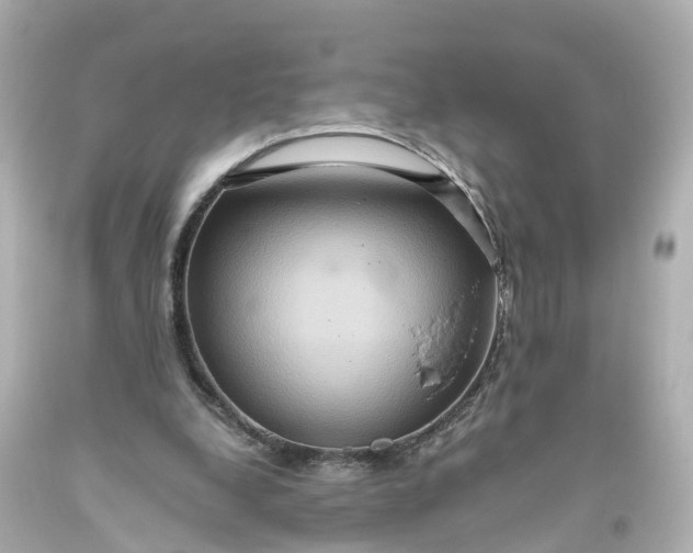 X0000093610248200710291211