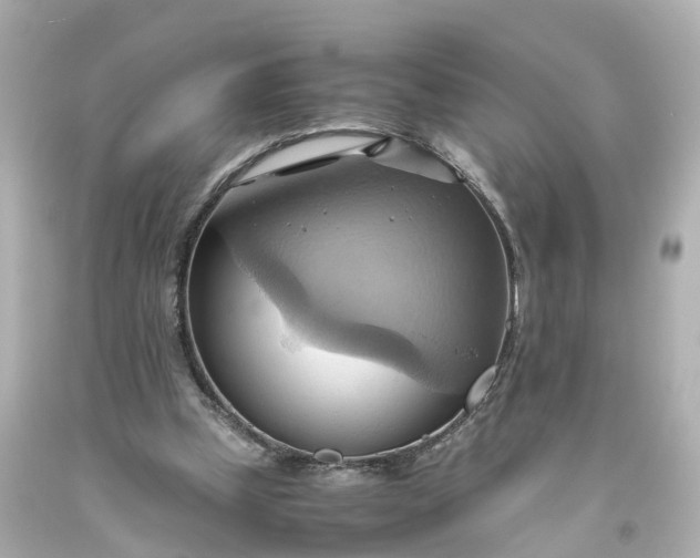 X0000093610249200710291211