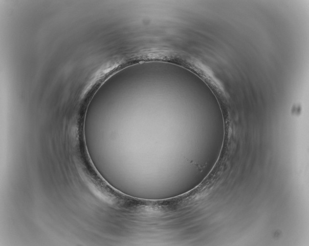 X0000093610250200710291211