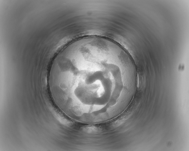 X0000093610253200710291211