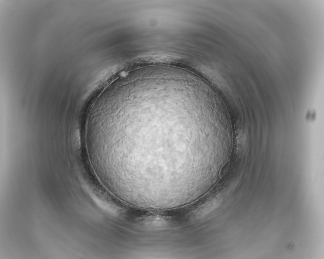 X0000093610254200710291211