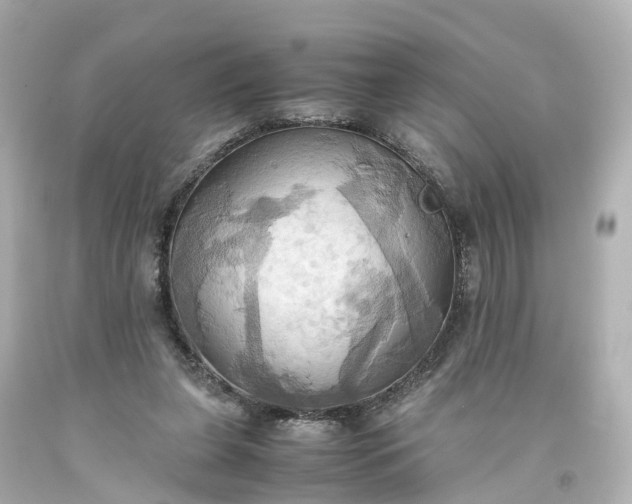 X0000093610255200710291211