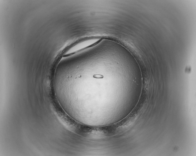 X0000093610256200710291211