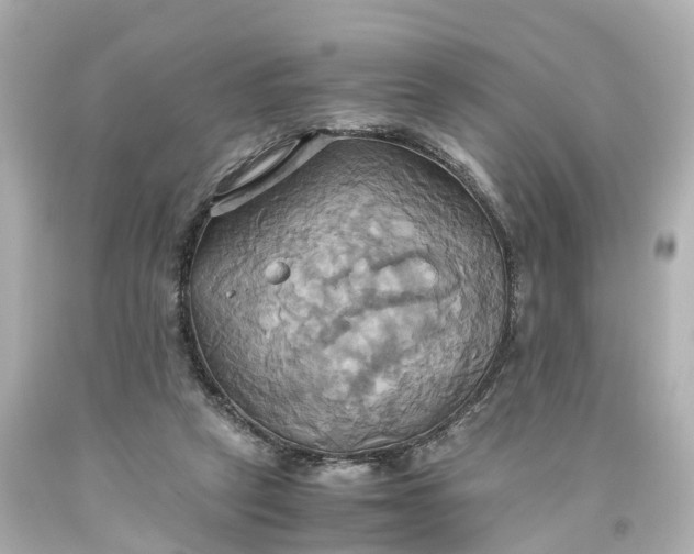 X0000093610257200710291211