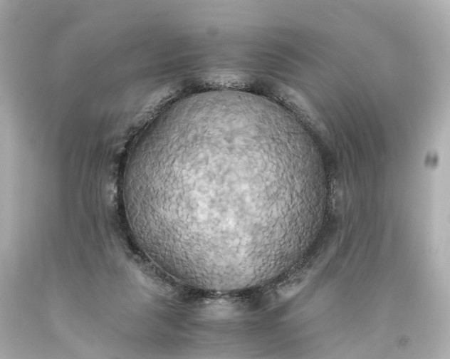 X0000093610259200710291211