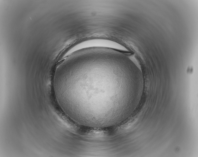 X0000093610260200710291211