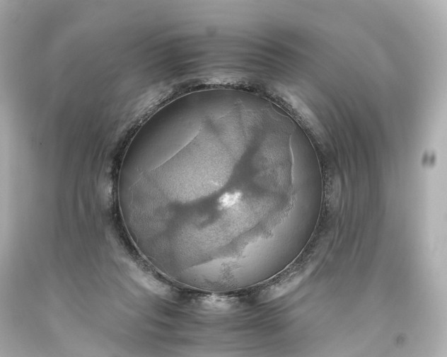 X0000093610261200710291211