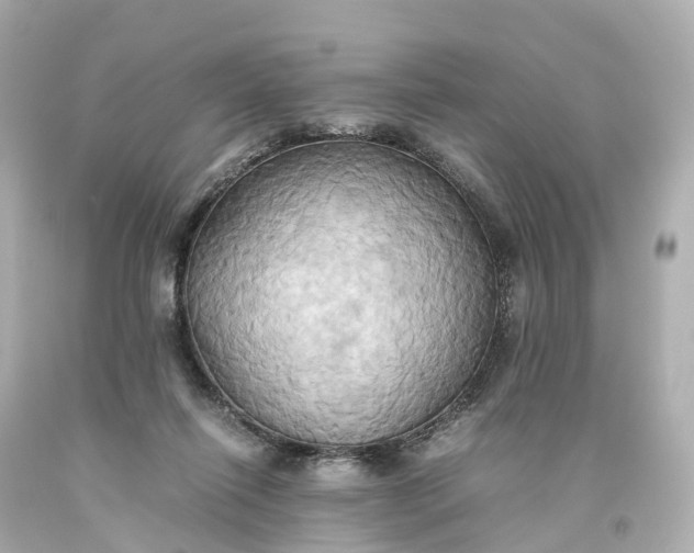 X0000093610262200710291211