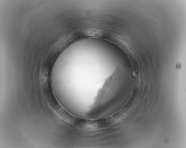 X0000093610263200710291211