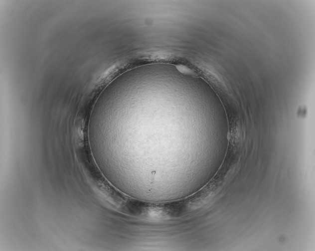 X0000093610264200710291212