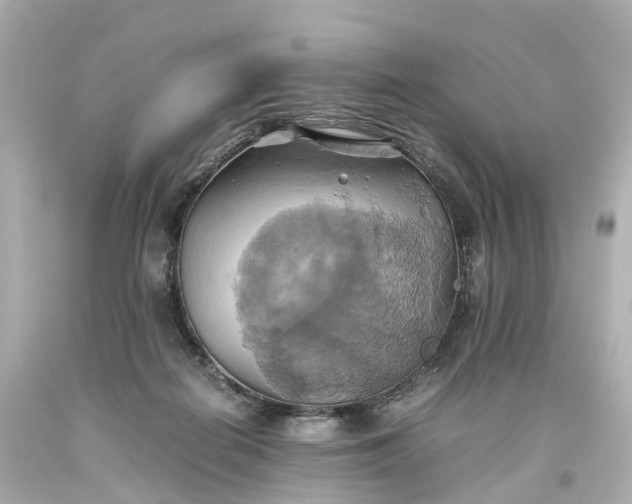 X0000093610266200710291212