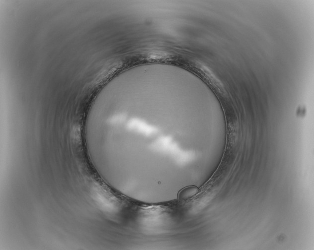 X0000093610269200710291212
