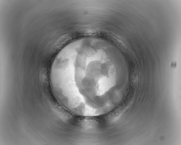 X0000093610270200710291212