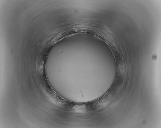 X0000093610271200710291212
