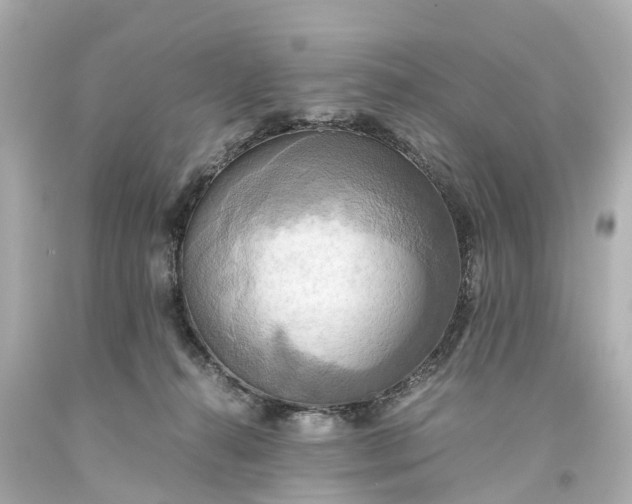 X0000093610272200710291212