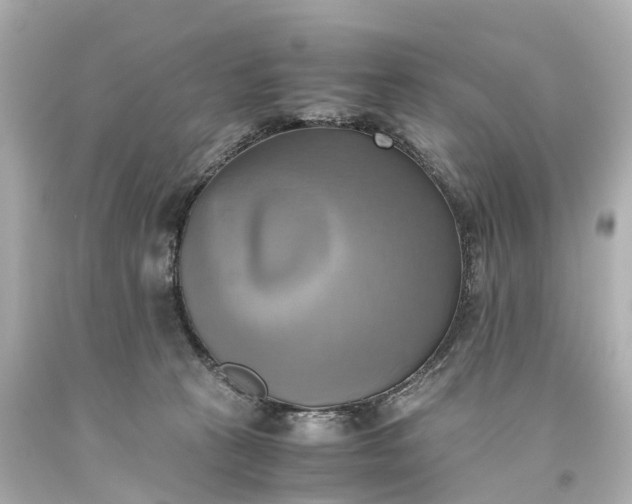 X0000093610273200710291212