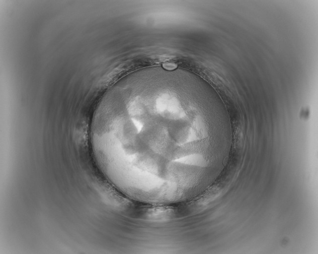 X0000093610274200710291212