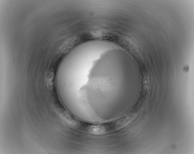 X0000093610275200710291212