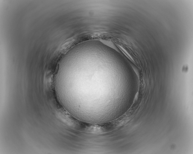 X0000093610276200710291212