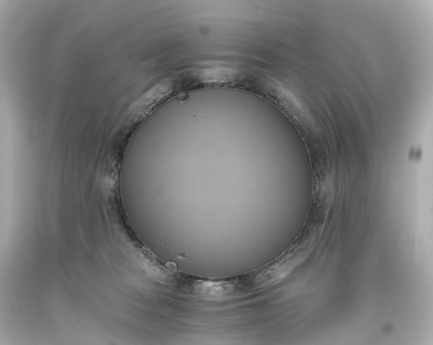 X0000093610277200710291212