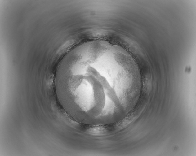 X0000093610278200710291212