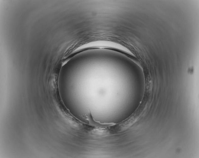 X0000093610280200710291212