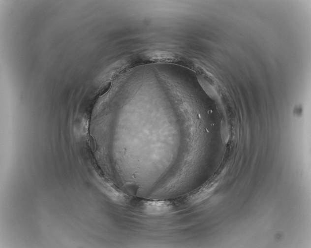 X0000093610281200710291212