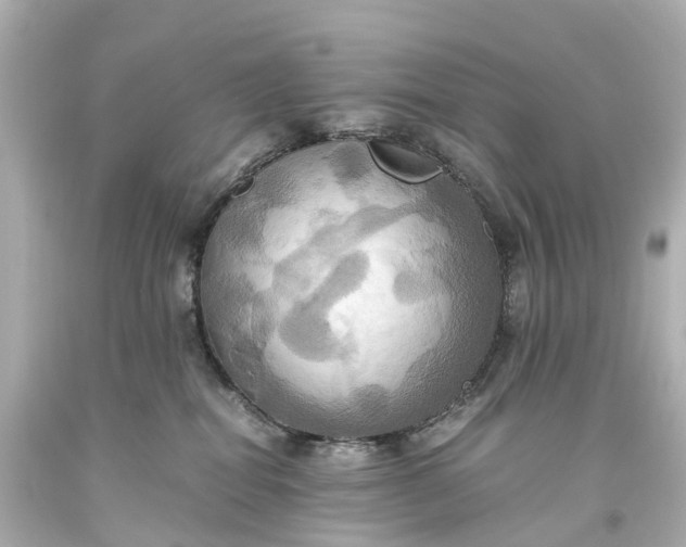 X0000093610282200710291212