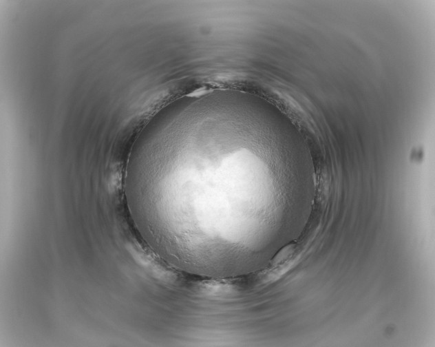 X0000093610284200710291212