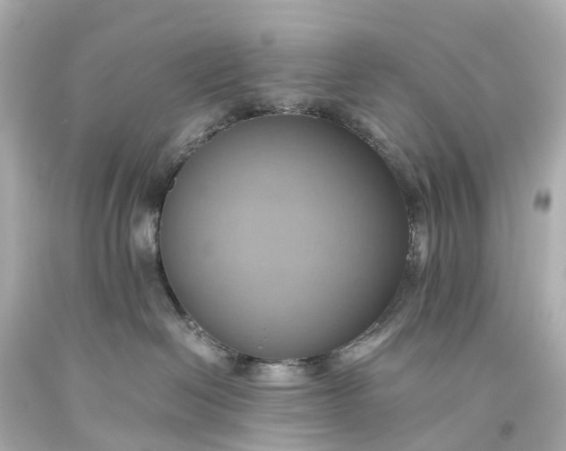X0000093610286200710291212