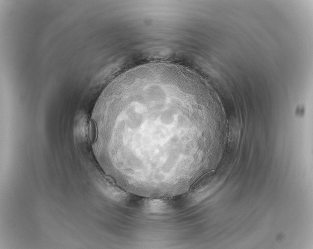 X0000093610287200710291212