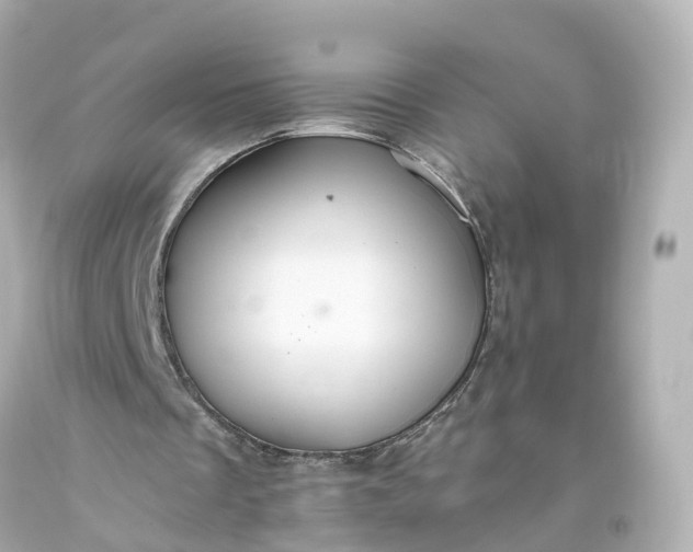 X0000093610289200710291211