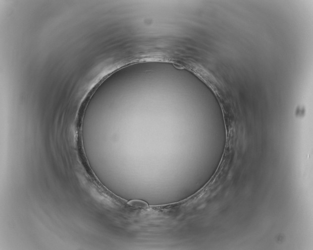 X0000093610290200710291211