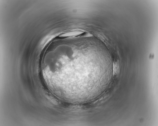 X0000093610291200710291211