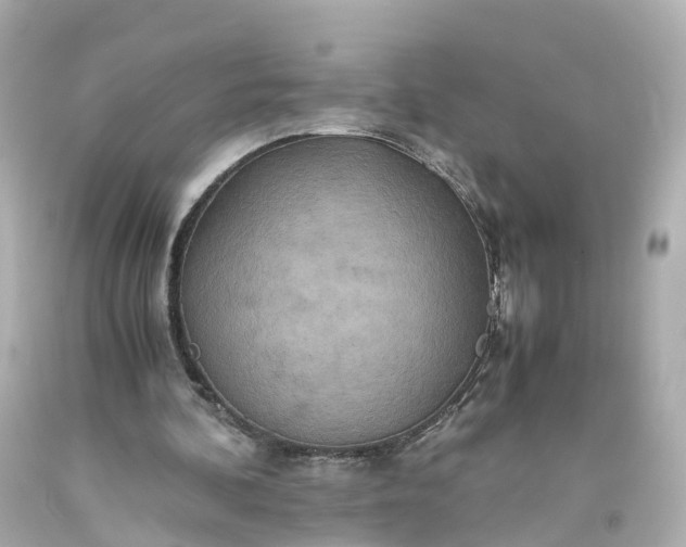 X0000093610292200710291211